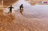 عراق| از انتقاد پارلمانی از سیاست آبی ترکیه تا احداث سد در مرز با ایران