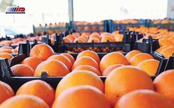 صادرات مرکبات ترکیه از مرز یک میلیارد دلار گذشت