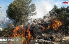 امسال با خطر افزایش آتش‌سوزی‌ در عرصه‌های محیط‌زیست مواجهیم