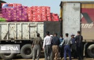 واردات میوه‌های گرمسیری به ایران از مرز باشماق مریوان