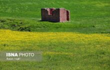 هشدار دادستان نمین به متجاوزین عرصه‌های ملی و منابع طبیعی