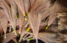 «هفت رنگ ایران»؛ زندگی با جاروبافی