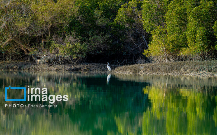 سیریک؛ نگینی‌ پنهان در نوار ساحلی مَکُران