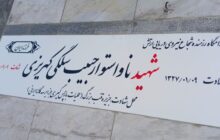 شهدای بازپس‌گیری جزایر سه‌گانه، نماد اقتدار دریایی ایران‌ هستند