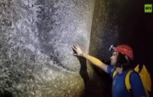 کشف بزرگ‌ترین تار عنکبوت جهان در مرز آلبانی و یونان