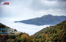 گردشگری مسئولانه؛ پیشران حفاظت از جنگل‌های هیرکانی