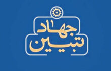 جهاد تبیین؛ راهبرد عبور از فتنه‌های آخرالزمان