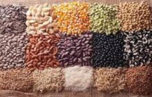 تدوین برنامه ملی برای كاهش وابستگی به واردات بذر تا سال ۱۴۰۸