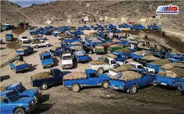قاچاق سوخت؛ معضل اقتصادی