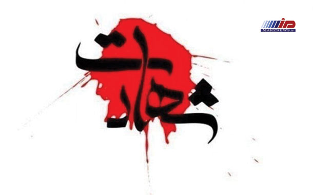 شهادت مرزبان هنگ مرزی میرجاوه در سانحه رانندگی