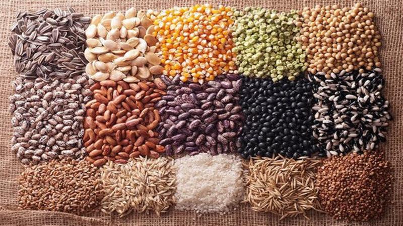 كاهش وابستگی كشور به بذرهای وارداتی